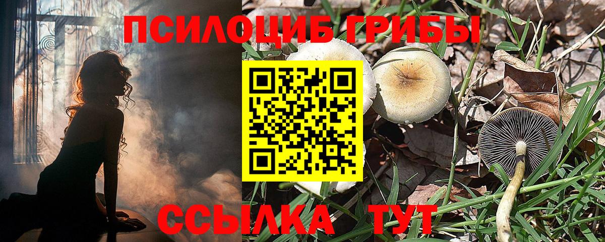 Псилоцибиновые грибы MAGIC MUSHROOMS  Вход с VPN  Галлюциногенные грибы мицелий  Клинцы 